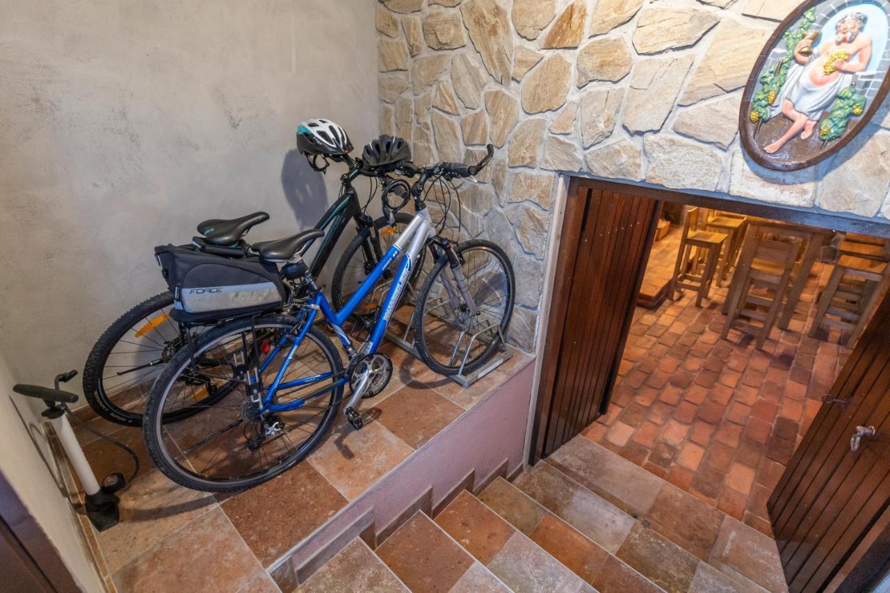 Hill Cottage Haloze Gruskovec Exterior foto