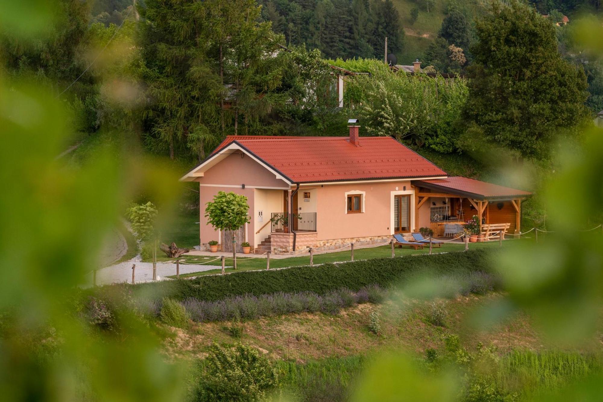 Hill Cottage Haloze Gruskovec Exterior foto