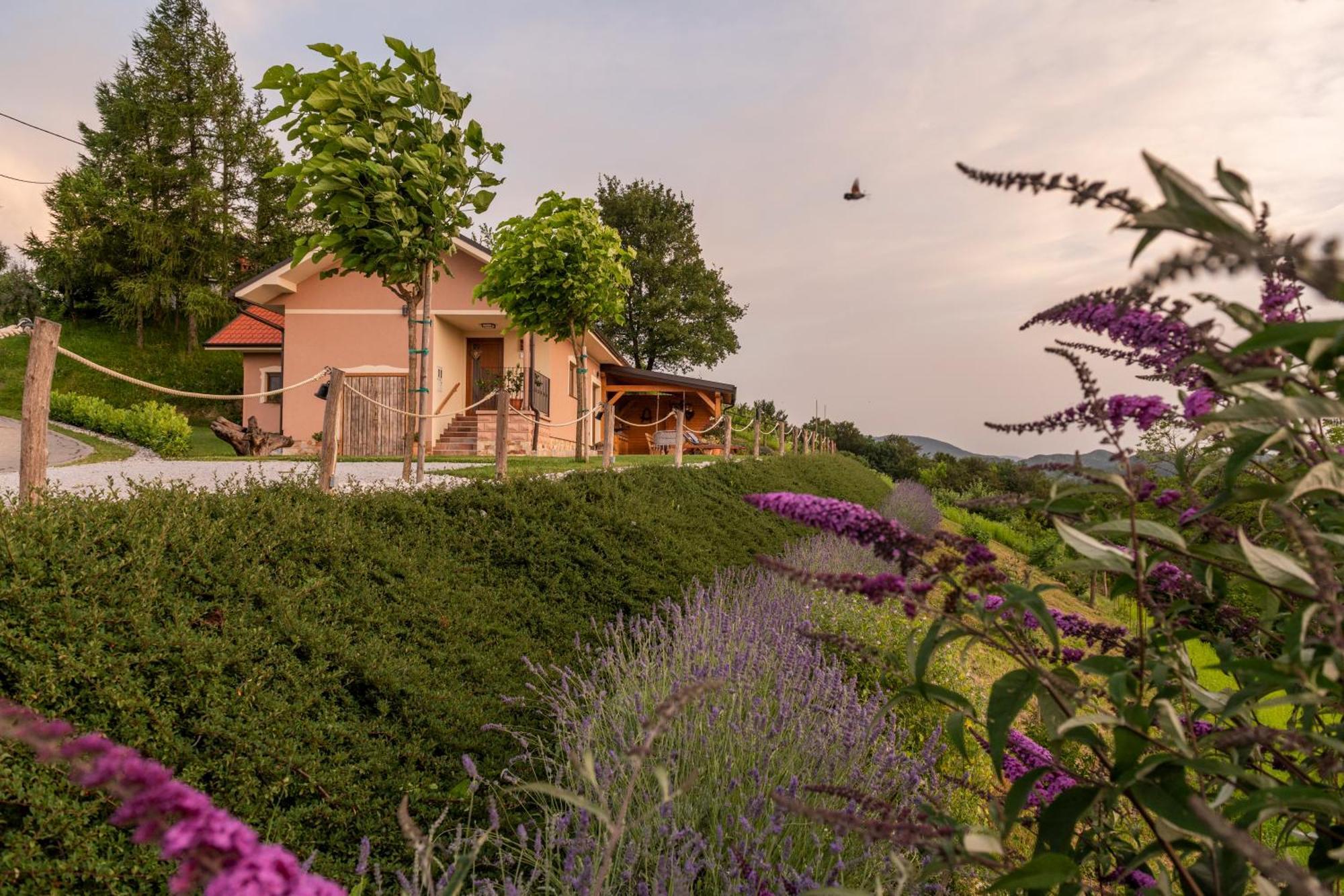 Hill Cottage Haloze Gruskovec Exterior foto